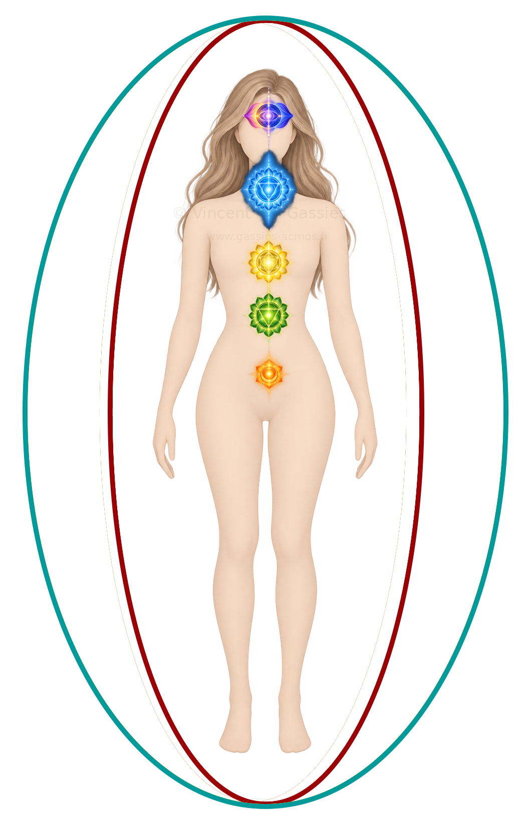 Schéma d’une personne dont les champs énergétiques sont centrés et alignés sur l’axe sagittal du corps